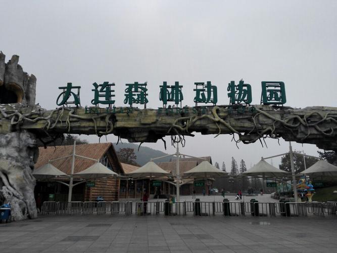 大连森林动物园回应牦牛疑遭虐待