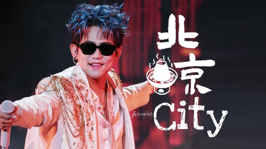 苏醒演唱会被粉丝信整内向了