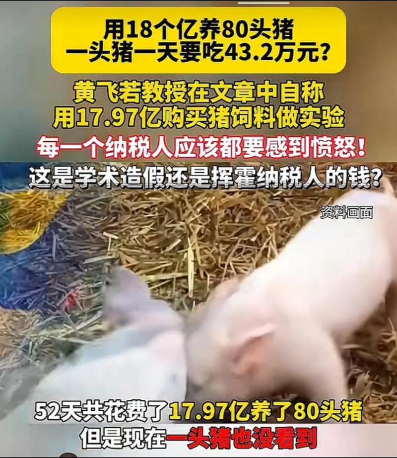 养殖户养一头猪亏36元