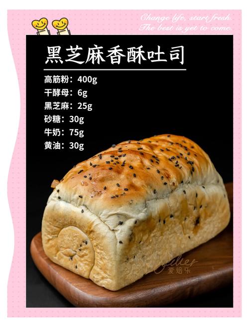 怎么导入吐司ai模型图