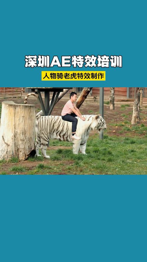 一人一虎的短视频怎么制作