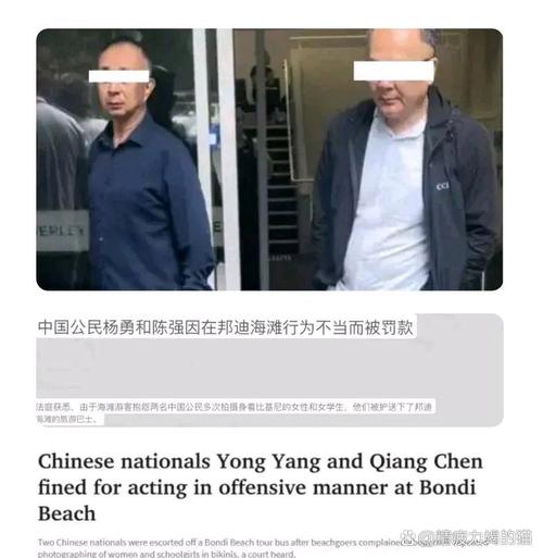 男子假冒联合国外交官身份