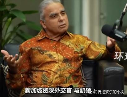 男子假冒联合国外交官身份