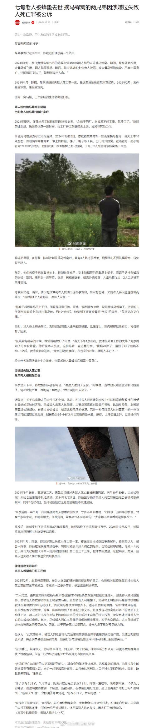 8旬老人捅马蜂窝被蛰不幸去世