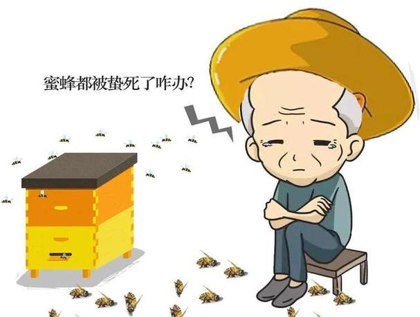 8旬老人捅马蜂窝被蛰不幸去世