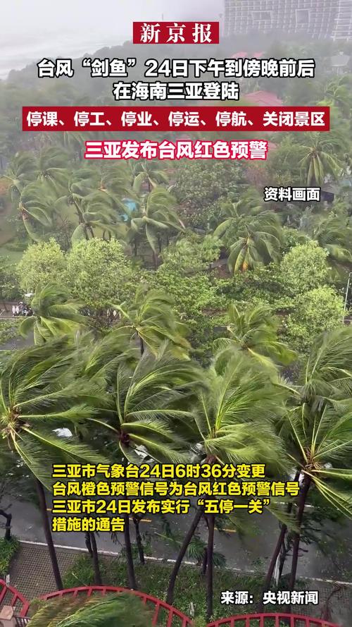 台风“剑鱼”吹袭三亚后现状