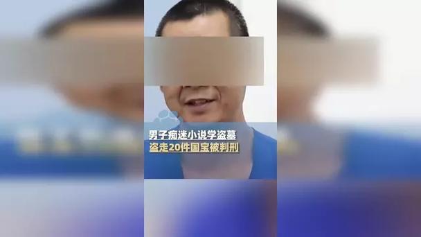 男子看小说学盗墓挖走20余件国宝
