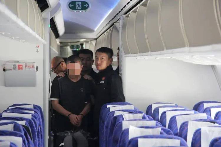 重大职务犯罪嫌疑人梁小菲被遣返回国