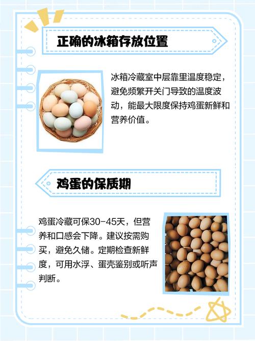“鸡蛋储存前要清洗”系误读