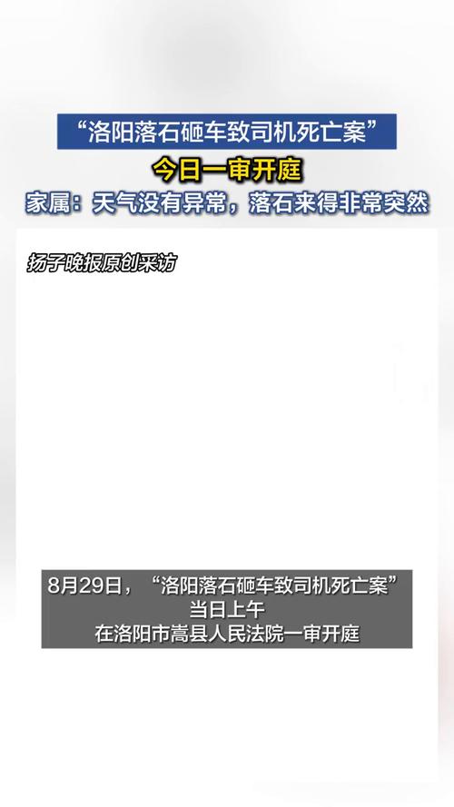 洛阳落石砸车致死案一审未当庭宣判