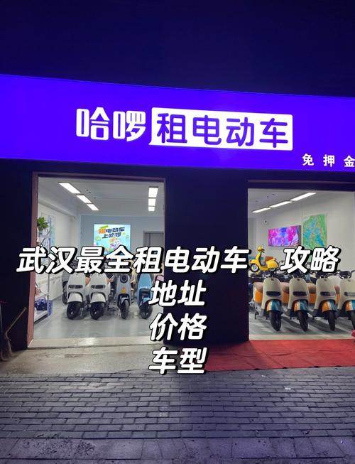 武大电动车租价36元1小时 游客:天价