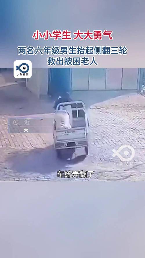大爷开三轮撞伤假想情敌获刑11个月