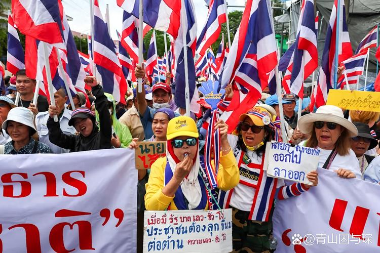 佩通坦“出局”泰国政坛下步怎么走