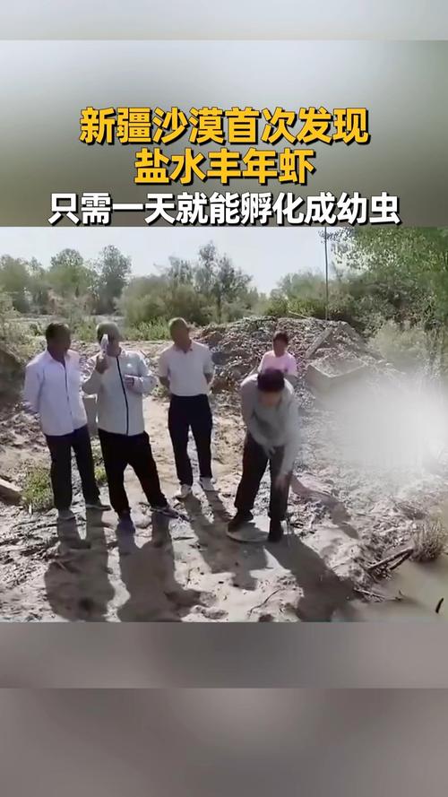 新疆沙漠首次发现盐水丰年虾