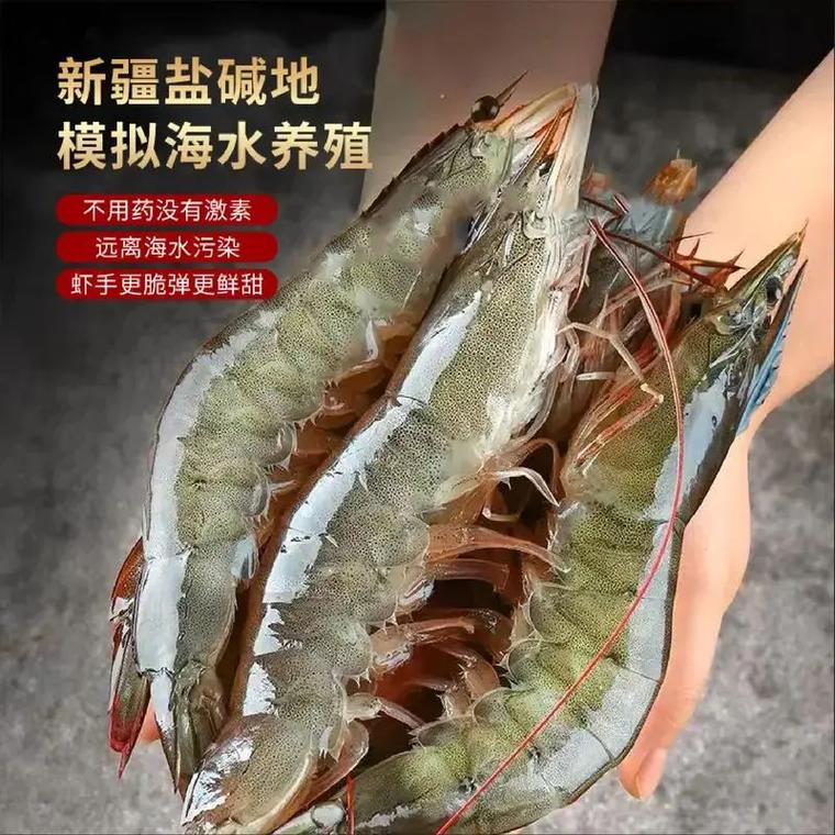 新疆沙漠首次发现盐水丰年虾