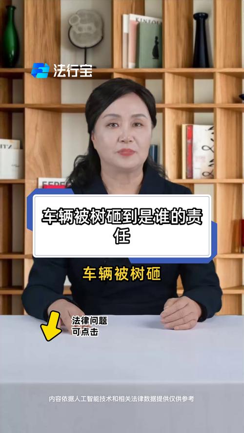 古树砸扁宝马 林业局:车主也有错