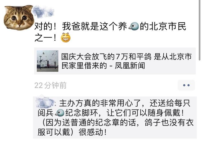 第一批参加阅兵的和平鸽已到家