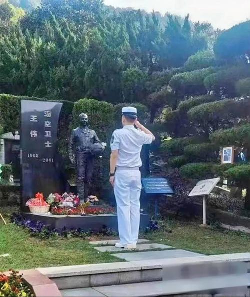 “海空卫士”王伟遗孀在京观看阅兵