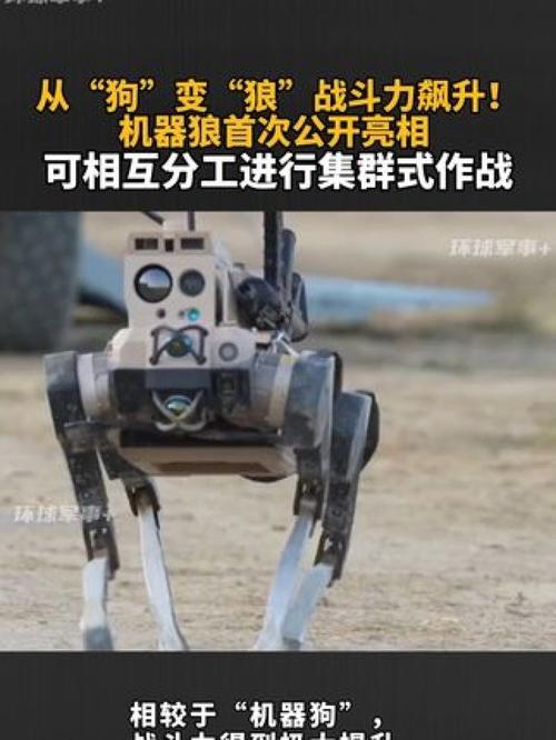 阅兵的“机器狼”与机器狗有啥区别
