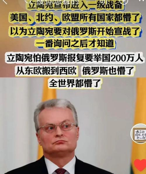 立陶宛证实收到美国削减军援通知