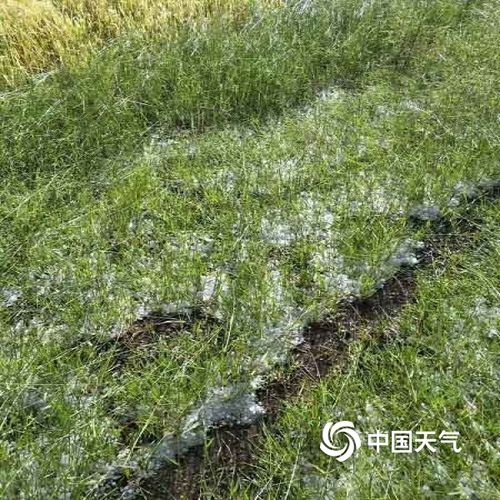 甘肃甘南合作市突遭暴雨冰雹
