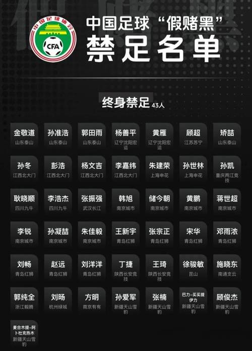 足协已接到多份有意执教候选人资料