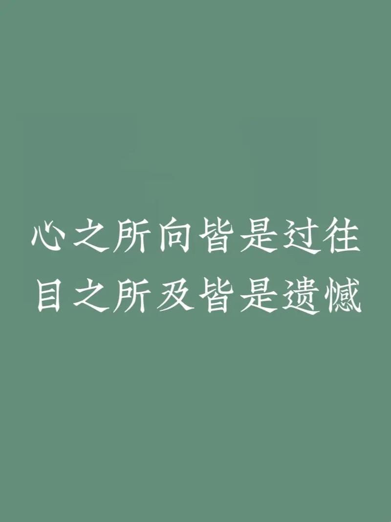 目之所及皆是自豪模样