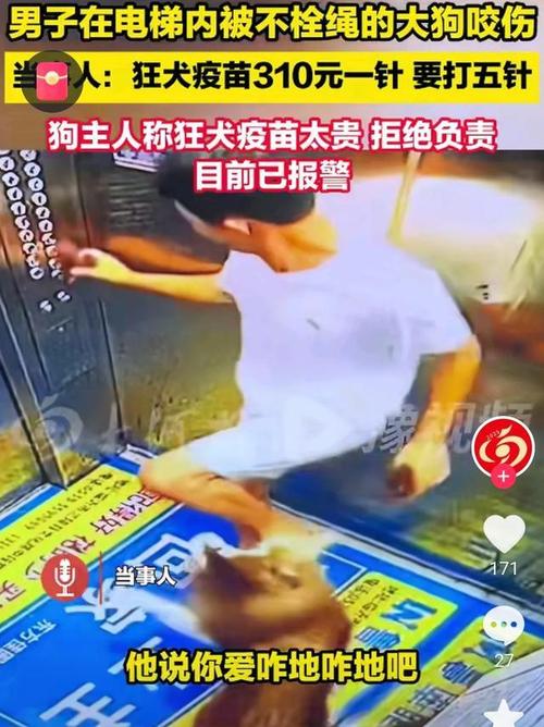 男子不满13条狗半夜叫 毒死9只获刑