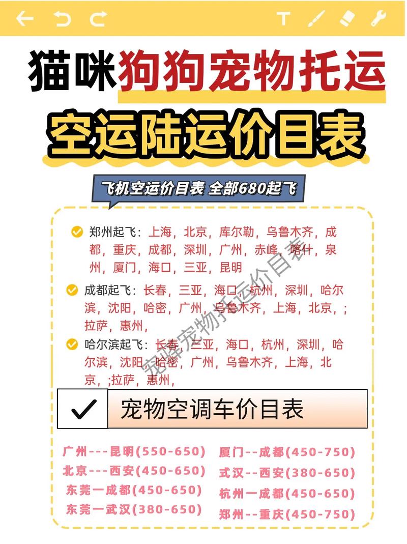 宠物机票贵过人却需求猛增