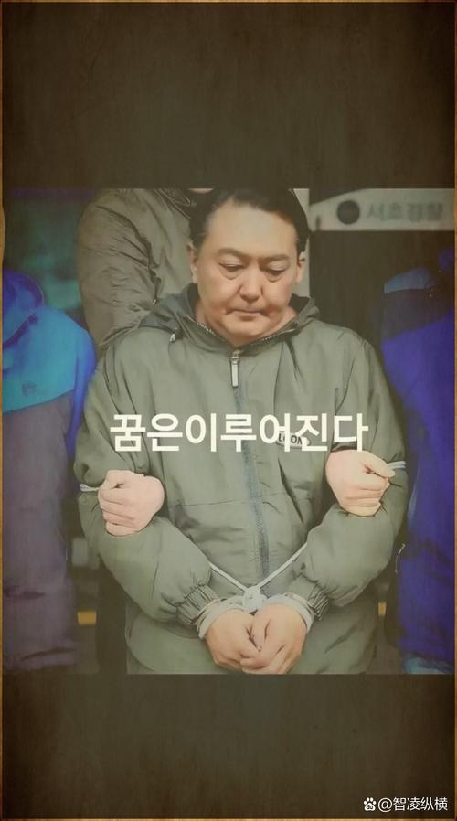 韩国将包机赴美接回被抓韩国人