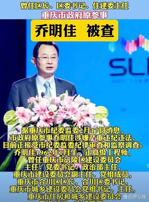 重庆10天官宣6名厅官落马