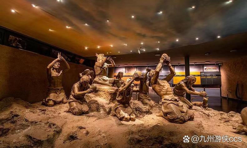 河南贾湖遗址发现8000多年前木棺