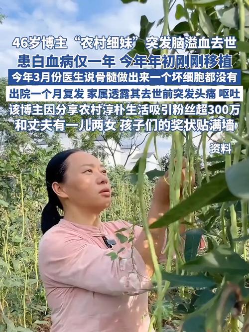 博主“农村细妹”突发脑溢血去世