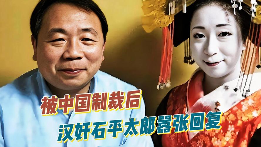 #被中方制裁的石平到底干了啥#