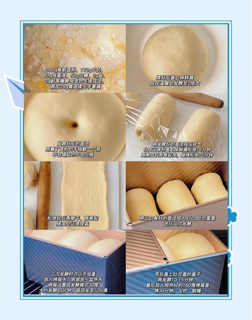 吐司ai怎么导入模型里