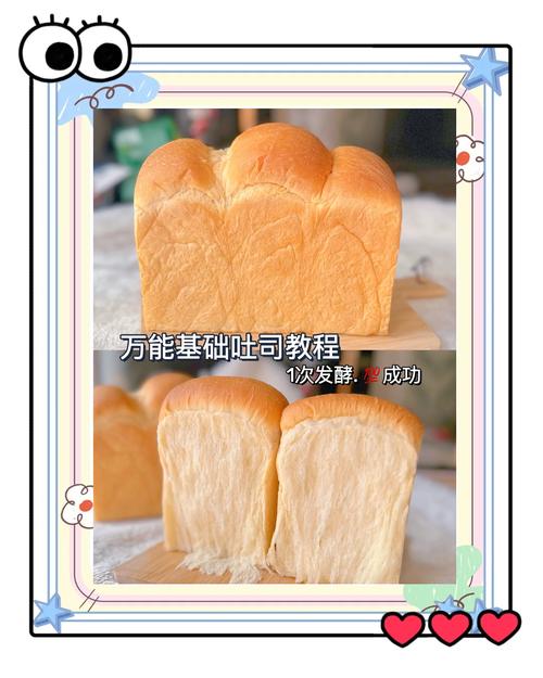 吐司ai怎么导入模型里