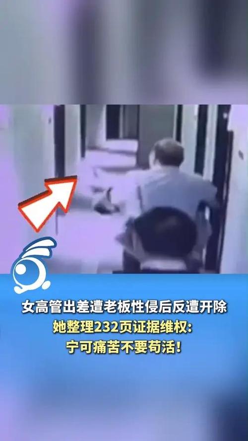 女高管遭老板性侵:仅获2万多赔偿