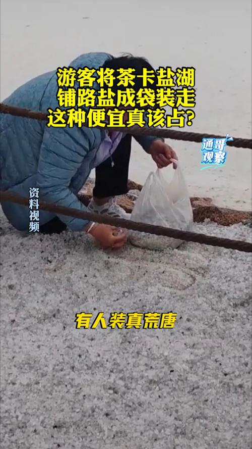 游客将茶卡盐湖铺路盐成袋装走
