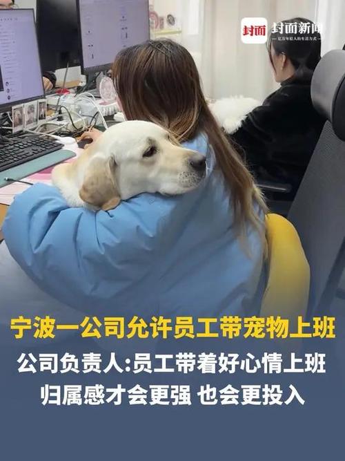 宁波一公司允许员工带宠物上班