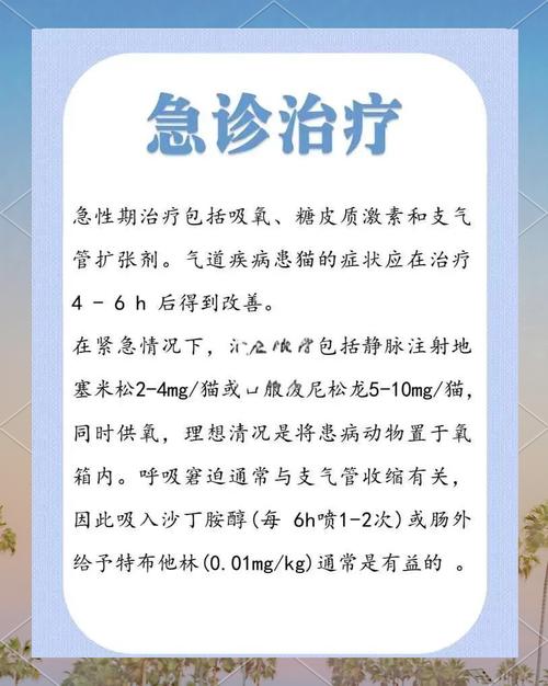 男孩常年“吸猫”致哮喘急性发作
