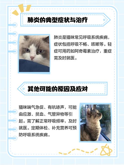 男孩常年“吸猫”致哮喘急性发作
