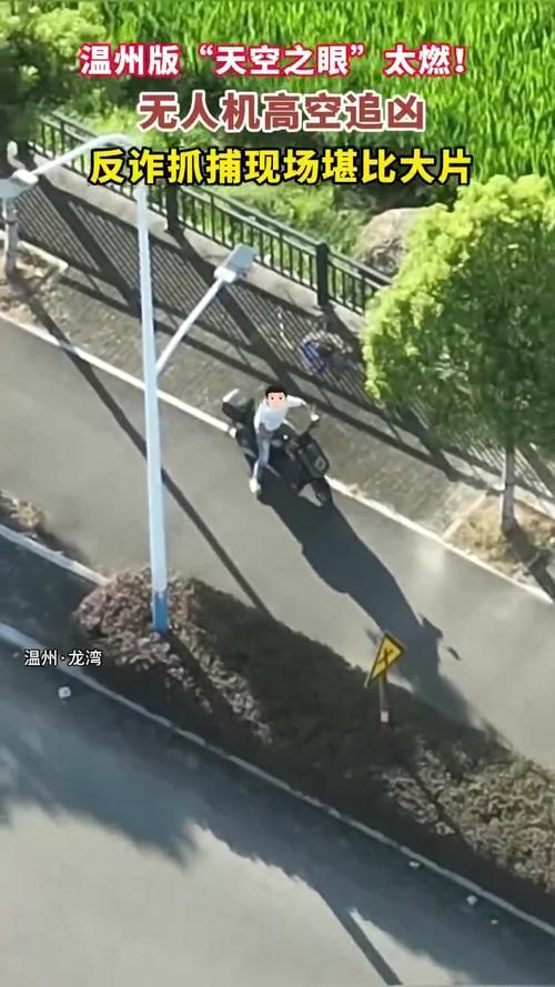 浙江反诈抓捕现场堪比大片