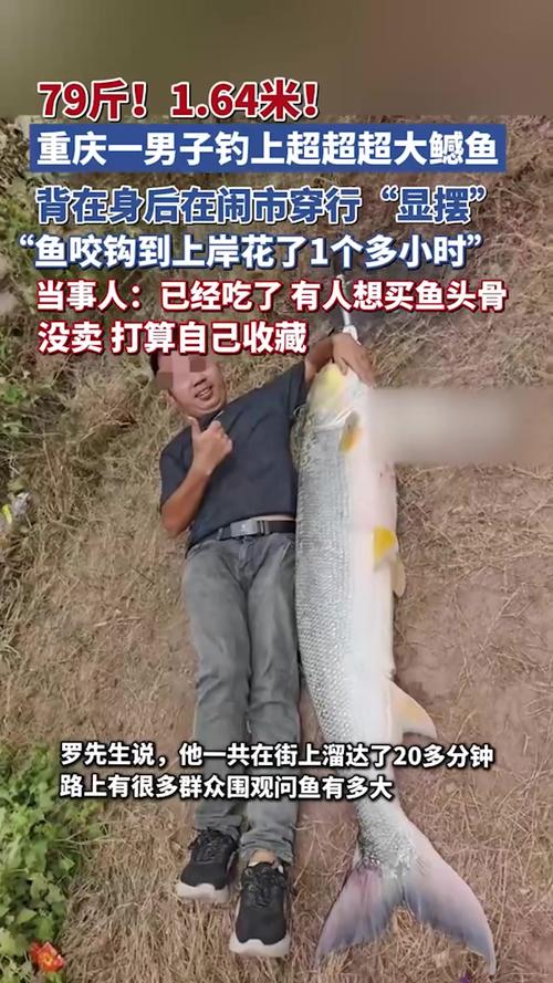 男子背着钓到的79斤鳡鱼在闹市穿行