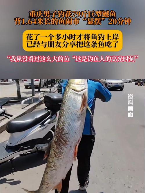 男子背着钓到的79斤鳡鱼在闹市穿行