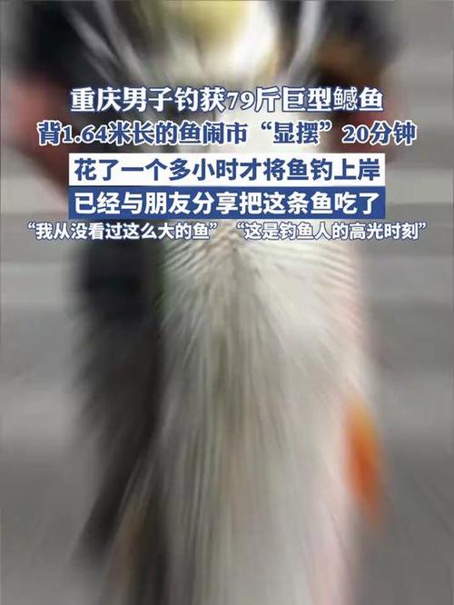 男子背着钓到的79斤鳡鱼在闹市穿行