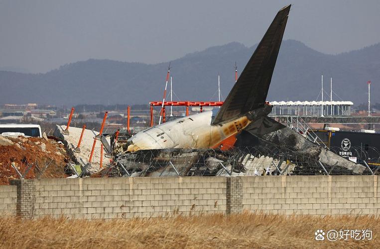 一架波音737客机迫降日本关西机场