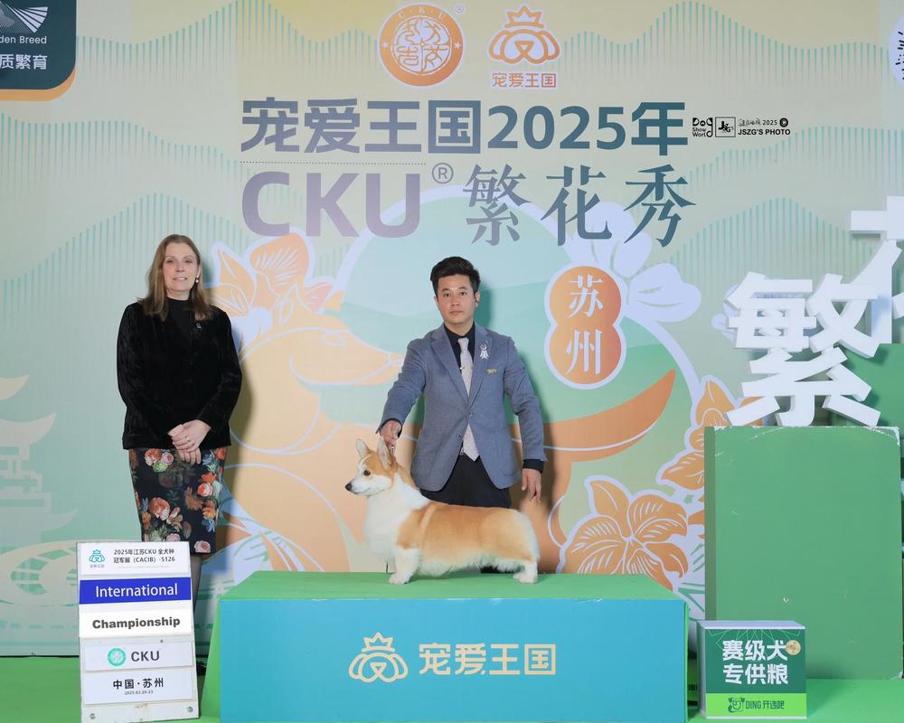 卢卡申科与市民互动 宠物狗又抢镜