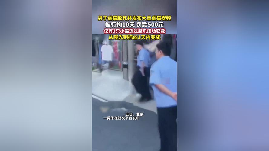 持铁锤砸路人致死男子有精神分裂症