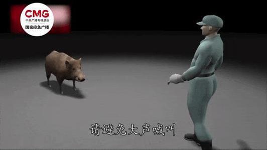 家中闯入野猪大人逃跑把孩子忘房里