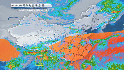 河南多地遭“小白虫”侵袭